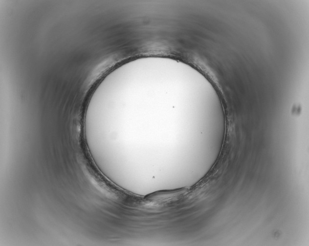 X0000093570059200711051106