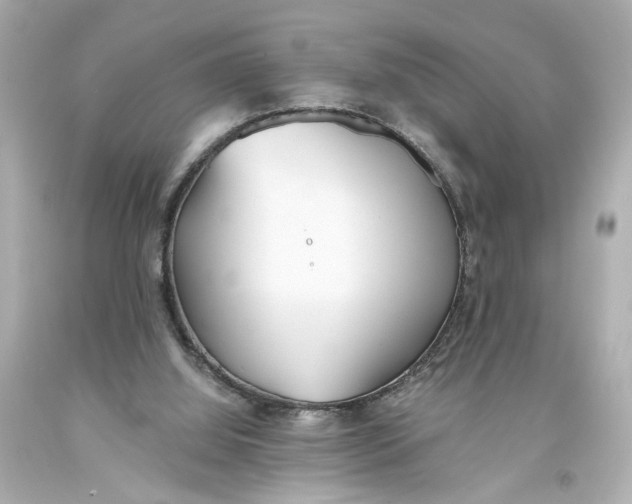 X0000093570060200711051106