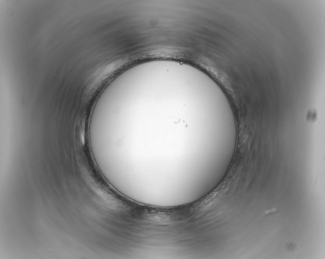 X0000093570062200711051106