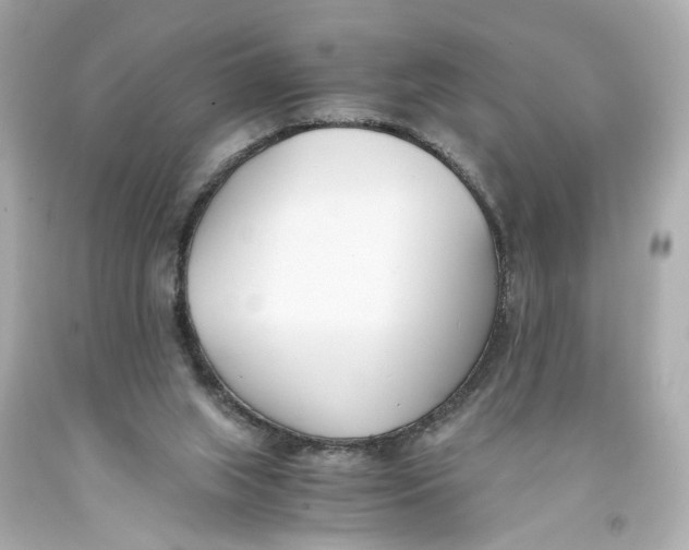 X0000093570063200711051106