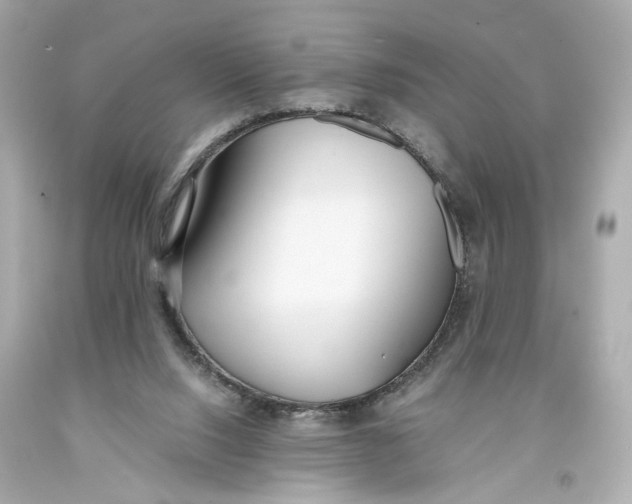 X0000093570064200711051106