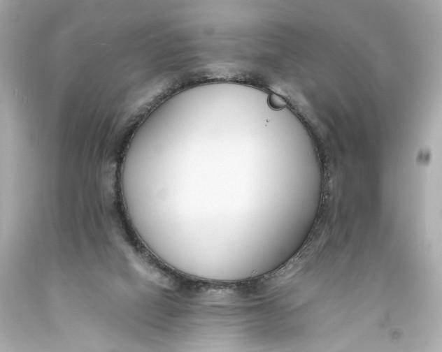 X0000093570066200711051106