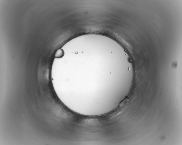 X0000093570067200711051106