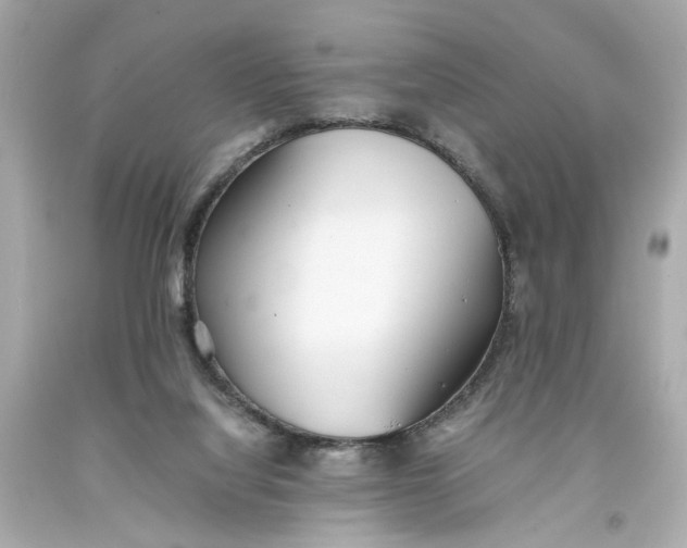 X0000093570068200711051106