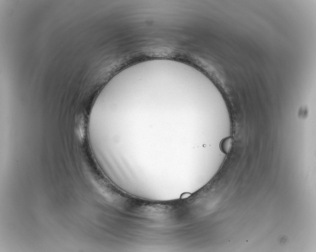 X0000093570069200711051106