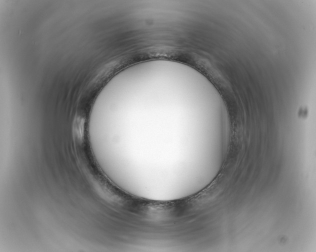 X0000093570070200711051106