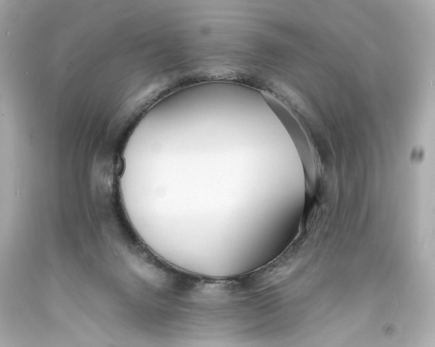 X0000093570072200711051106