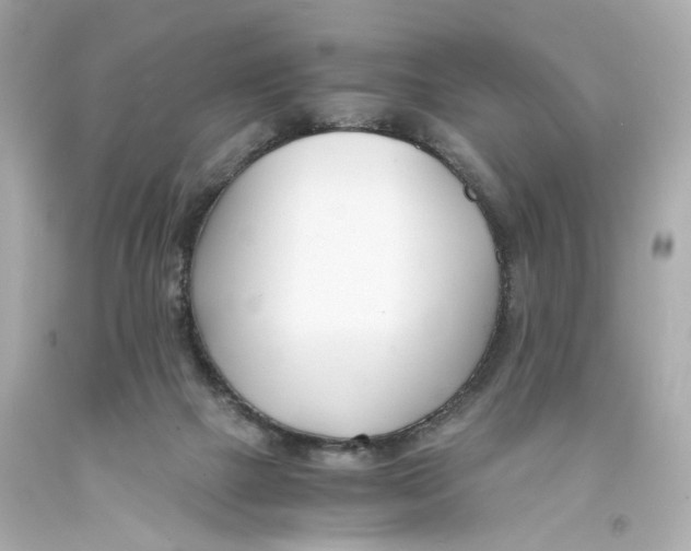 X0000093570073200711051106