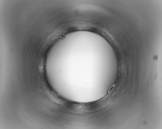 X0000093570074200711051106