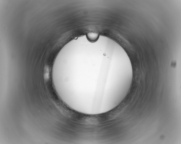 X0000093570075200711051106