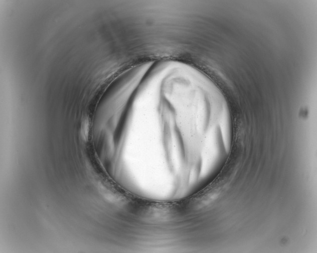 X0000093570076200711051106