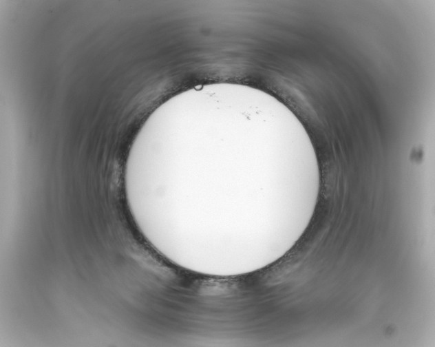 X0000093570077200711051106