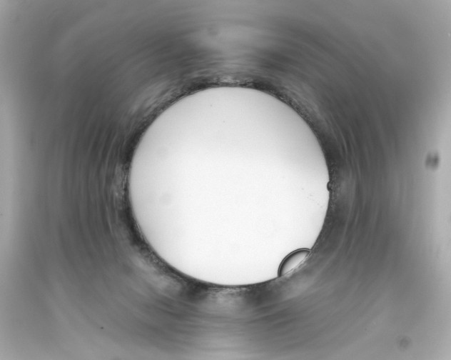 X0000093570078200711051106