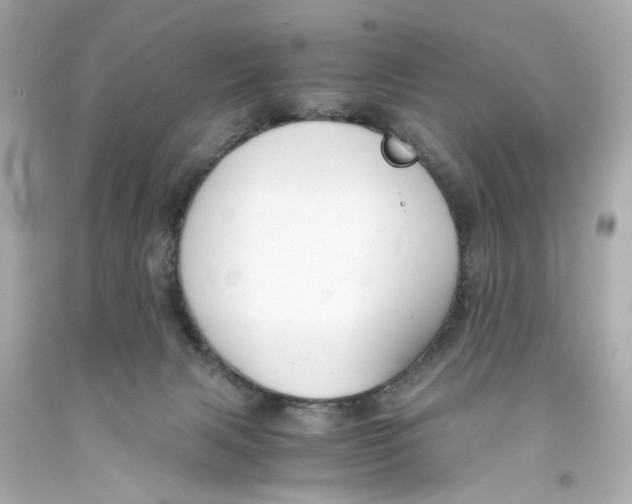 X0000093570079200711051106