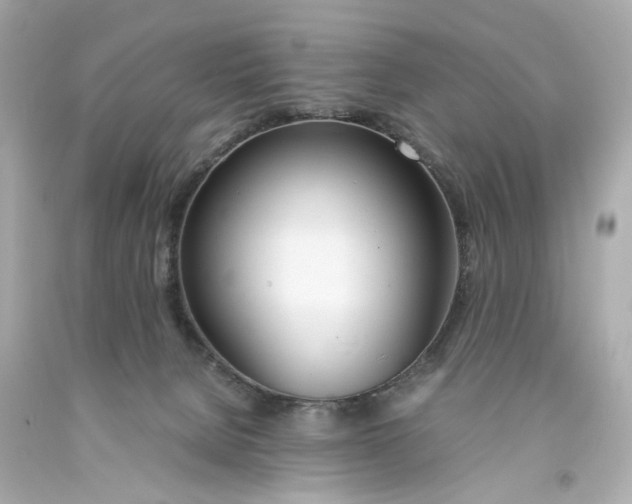 X0000093570080200711051106