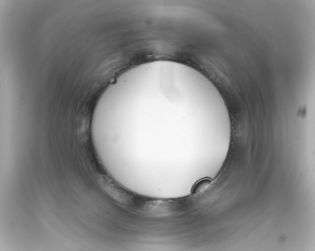 X0000093570082200711051106