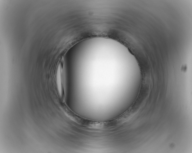 X0000093570084200711051106