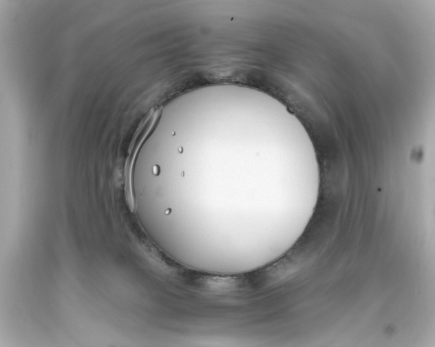 X0000093570085200711051106