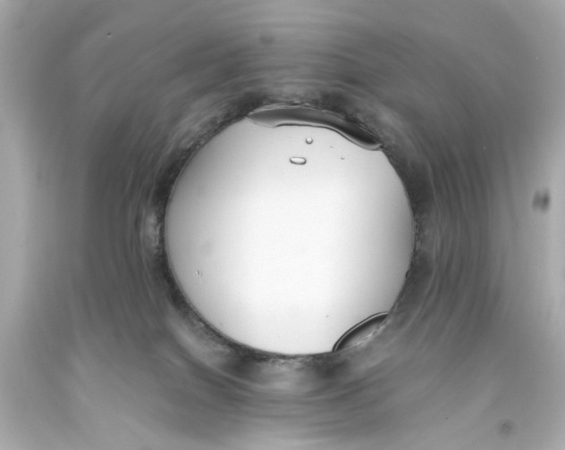 X0000093570086200711051106