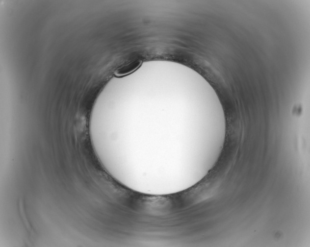 X0000093570087200711051106