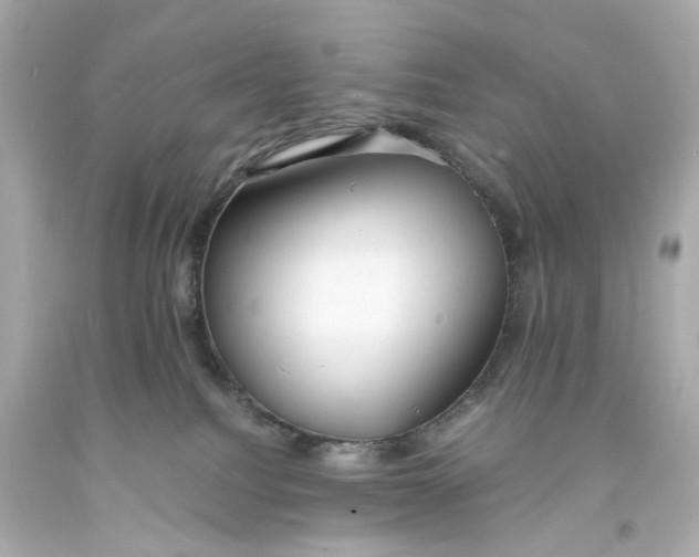 X0000093570088200711051106