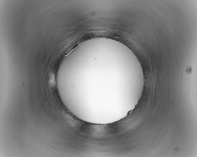 X0000093570089200711051106