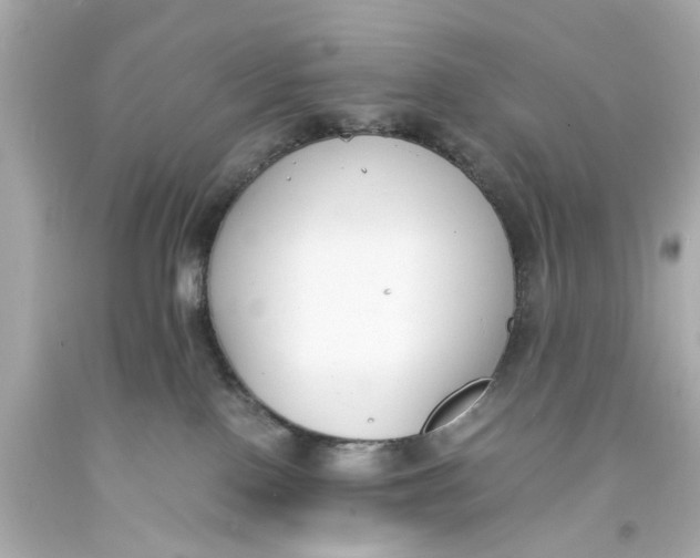 X0000093570090200711051106