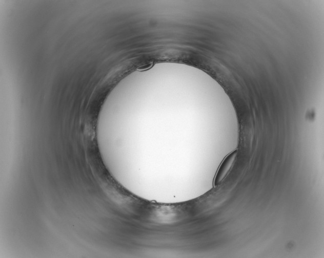 X0000093570091200711051106