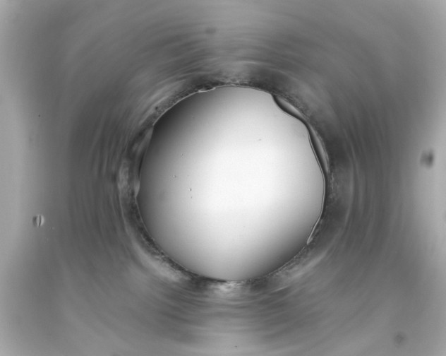 X0000093570092200711051106