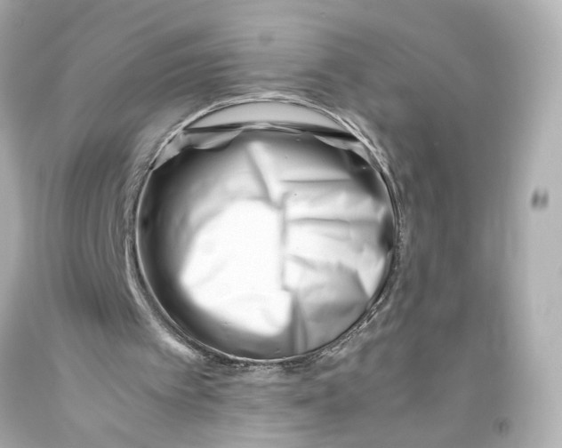 X0000093570097200711051106