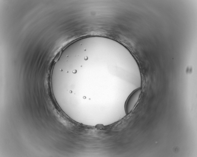 X0000093570098200711051106