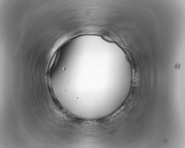 X0000093570099200711051106