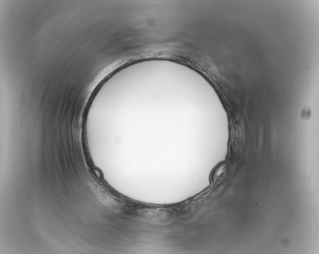 X0000093570100200711051106