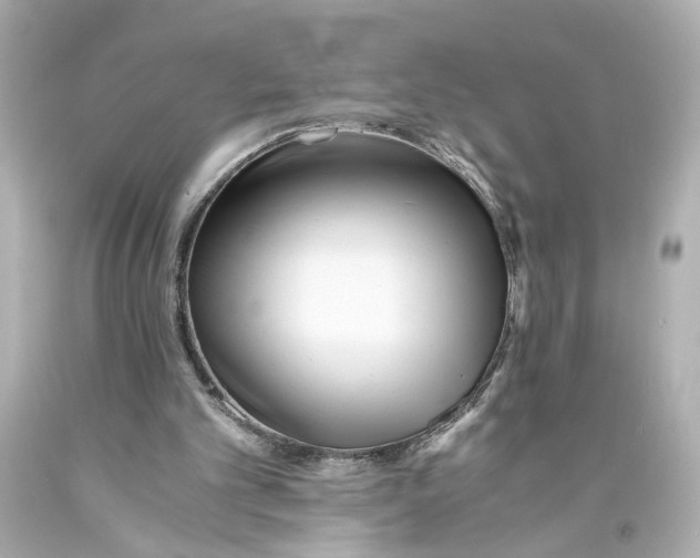 X0000093570101200711051106