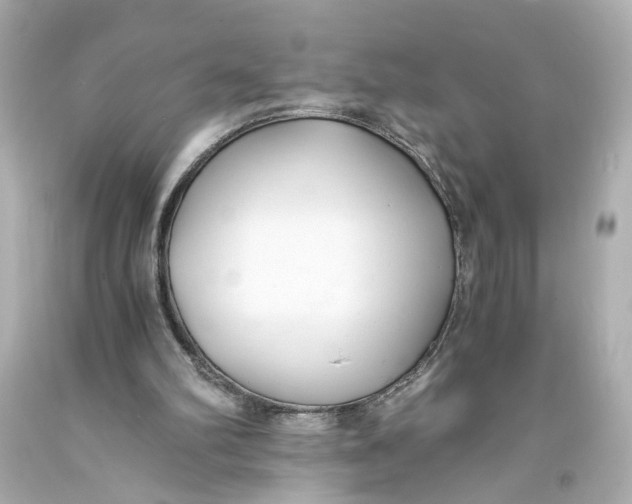 X0000093570102200711051106