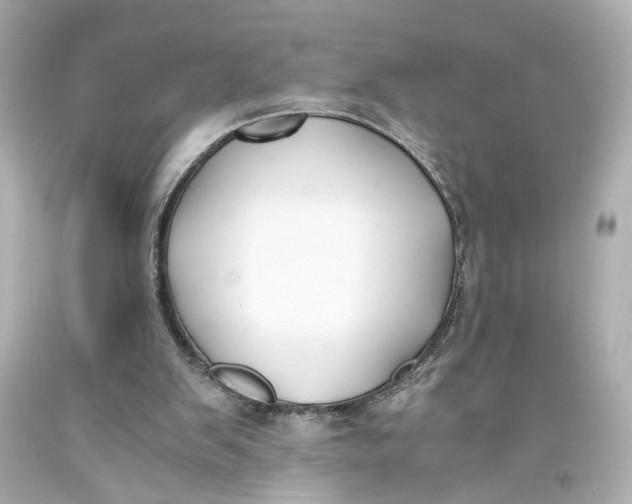 X0000093570103200711051106