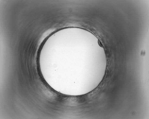 X0000093570104200711051106