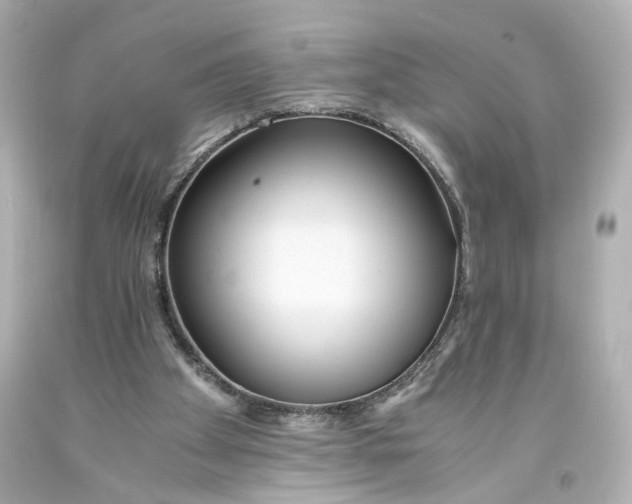 X0000093570105200711051106