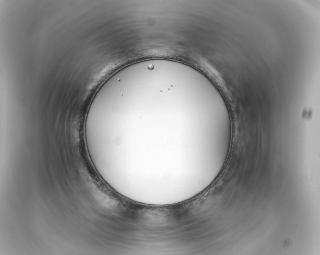 X0000093570106200711051105