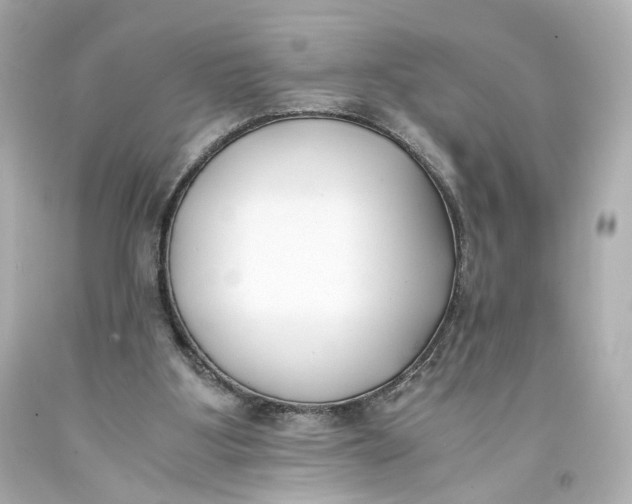 X0000093570107200711051105