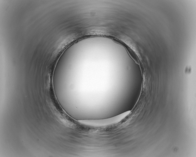 X0000093570109200711051105