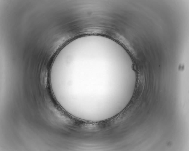 X0000093570110200711051105