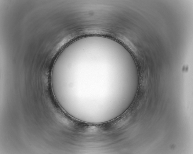 X0000093570111200711051105