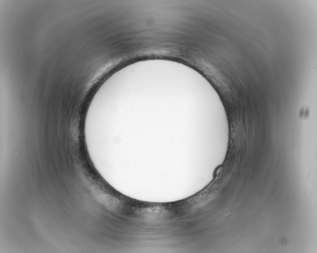 X0000093570112200711051105