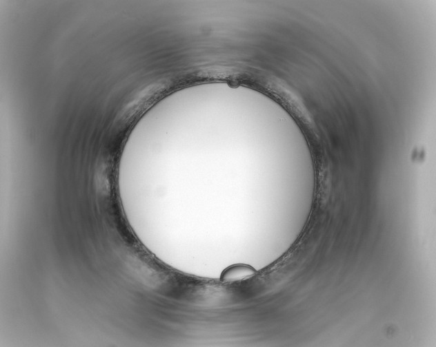 X0000093570114200711051105