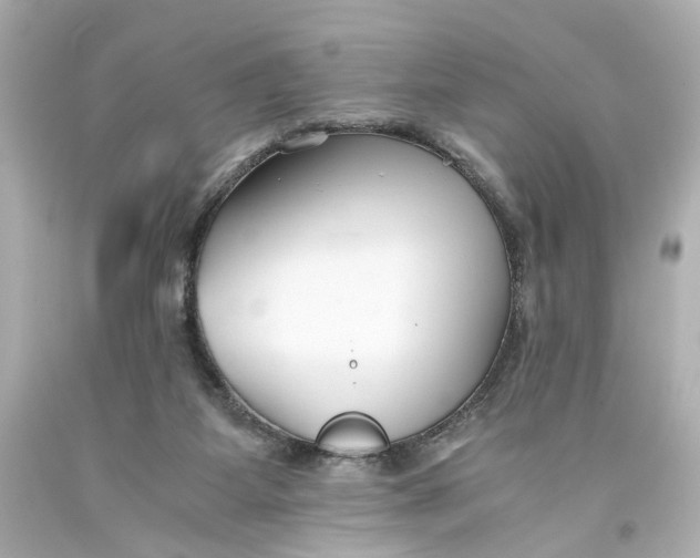 X0000093570115200711051105