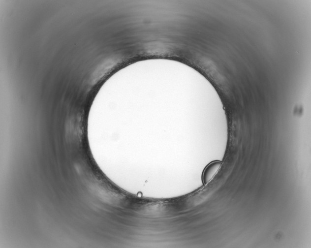 X0000093570116200711051105