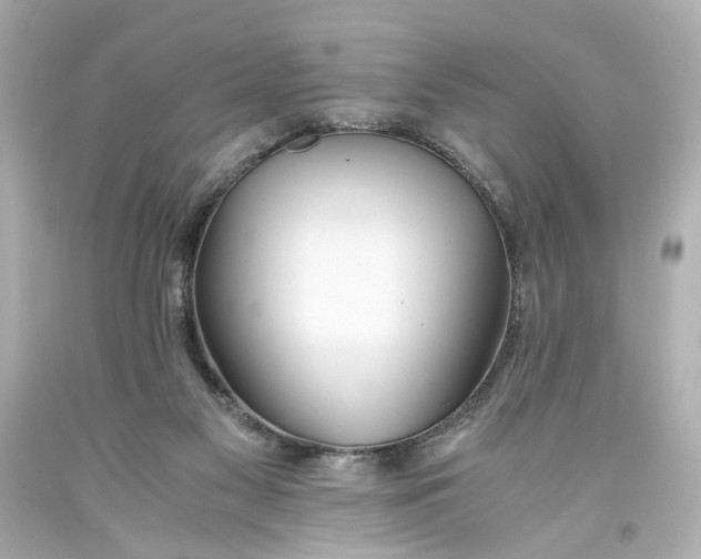 X0000093570117200711051105