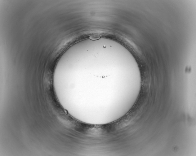 X0000093570119200711051105