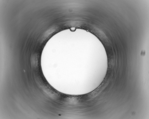 X0000093570120200711051105